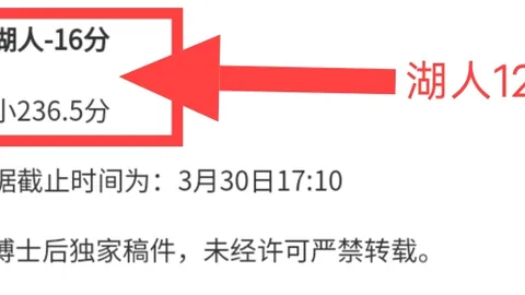 宋晓竞竞逐中国篮协裁判委员会主委席位提名